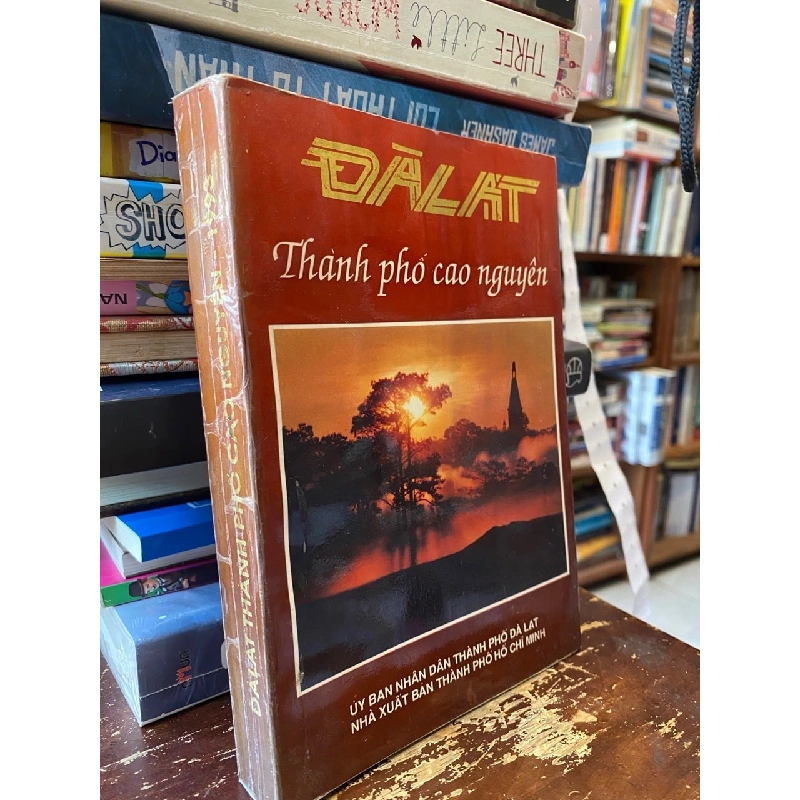 Đà Lạt thành phố cao nguyên 598655