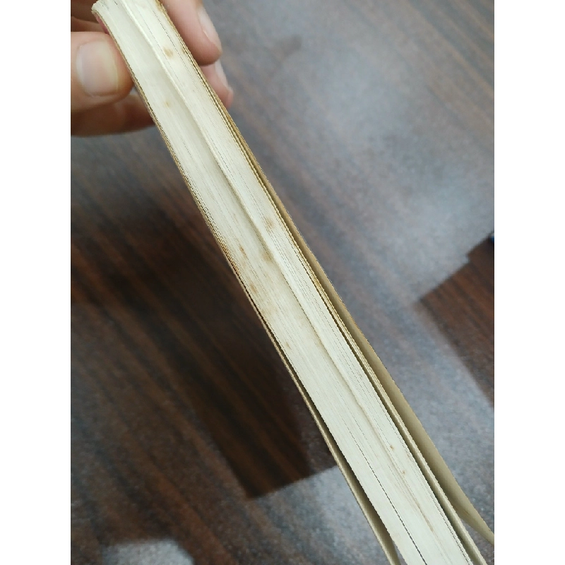 Hòn đảo bí mật 549591