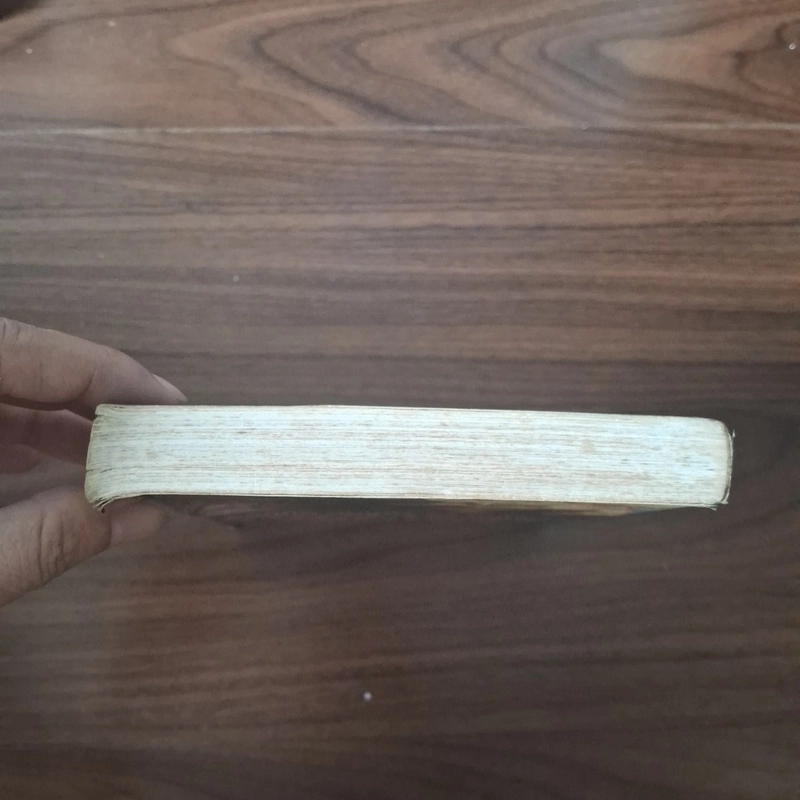 Người lạ trong gương  525667