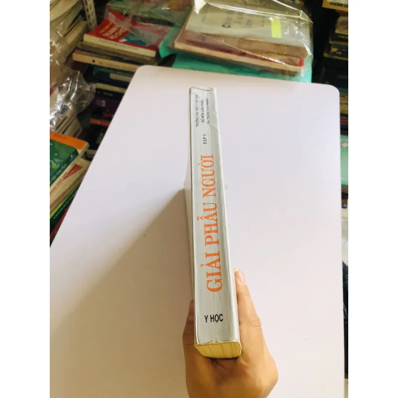 GIẢI PHẪU NGƯỜI ( Gs Trịnh Văn Minh) 719443