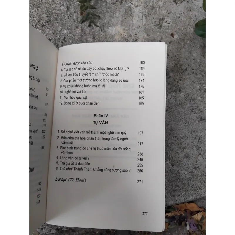 Những kiếp hoa dại của Vương Trí Nhàn  1026224