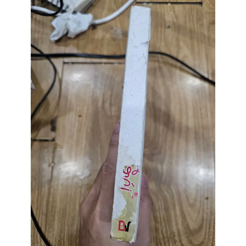 Anh trai em gái (mất bìa, đủ nội dung)
 722429