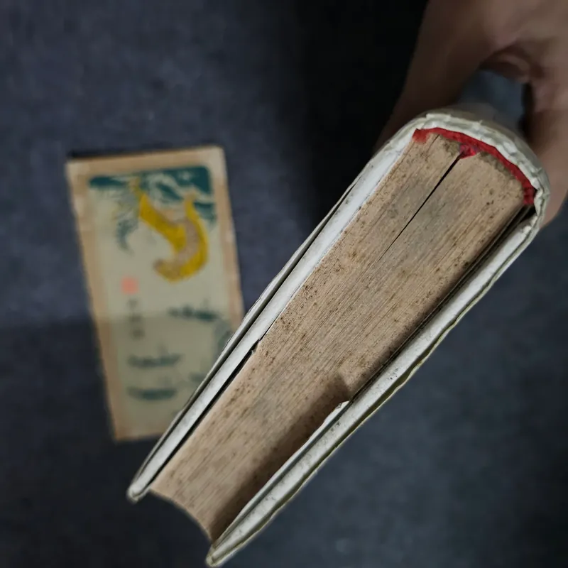 Ngày xưa có một chuyện tình bản đặc biệt 736573