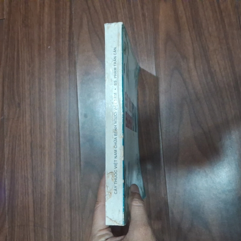 Cây thuốc Việt Nam chữa bệnh người Việt Nam 545600