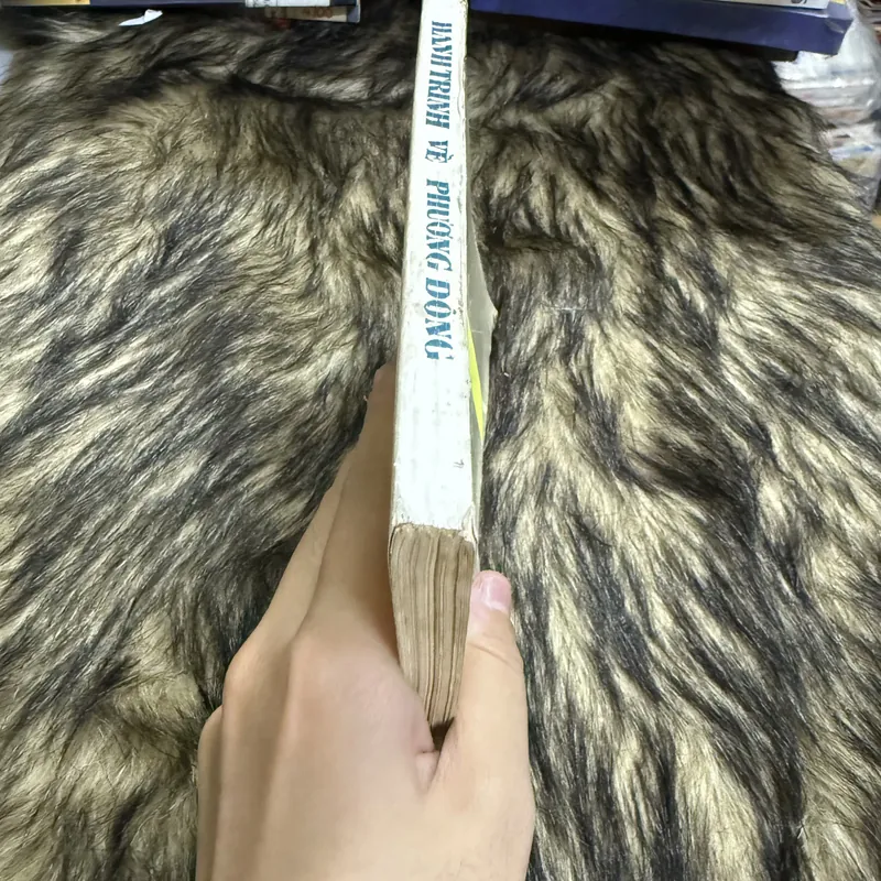 Hành trình phương Đông 600682