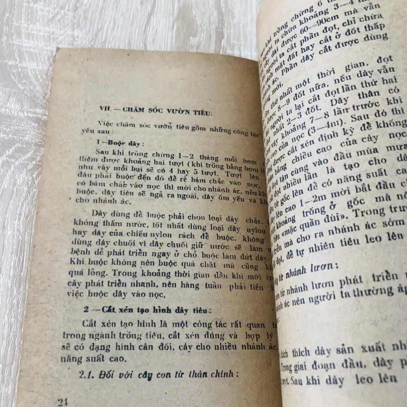 TRỒNG TIÊU Ở ĐỒNG BẰNG SÔNG CỬU LONG  956953