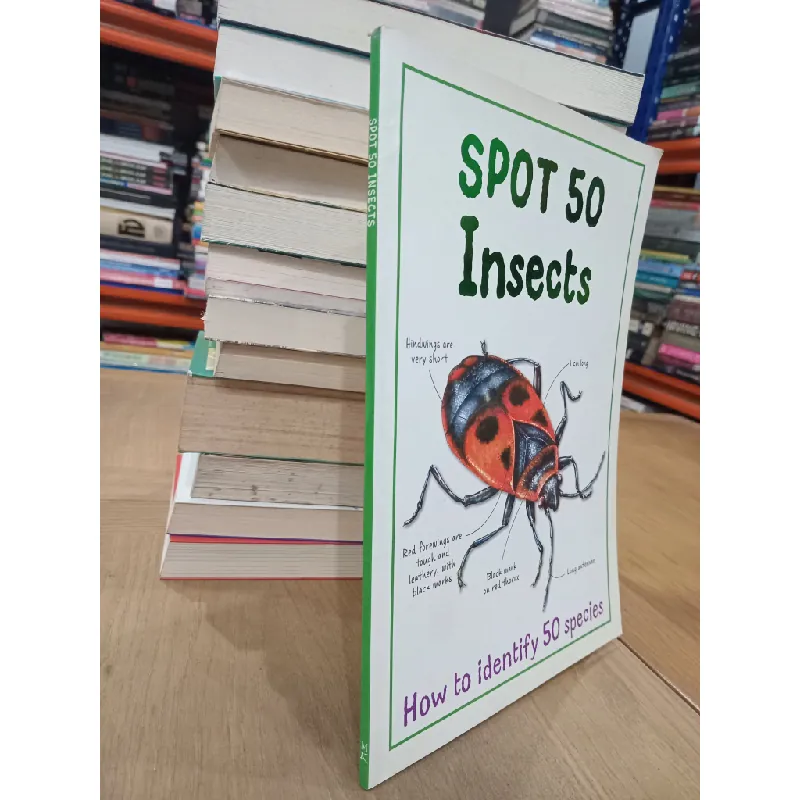 Spot 50 insects: How to identify 50 species 681973
