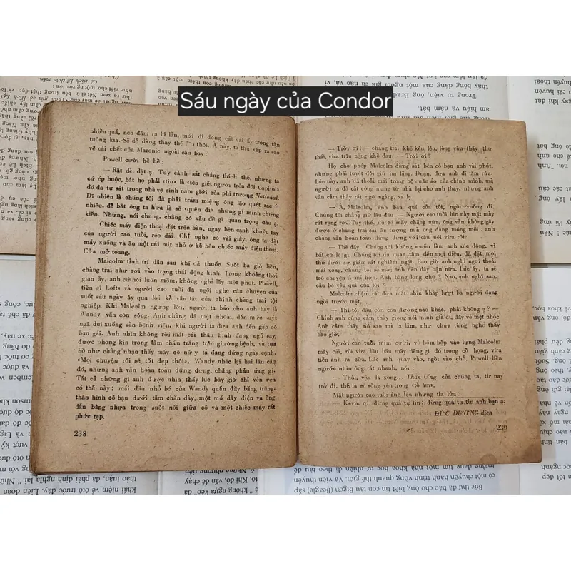 Tiểu thuyết trinh thám cổ điển SÁU NGÀY CỦA CONDOR - Tác giả: James Grady 703957