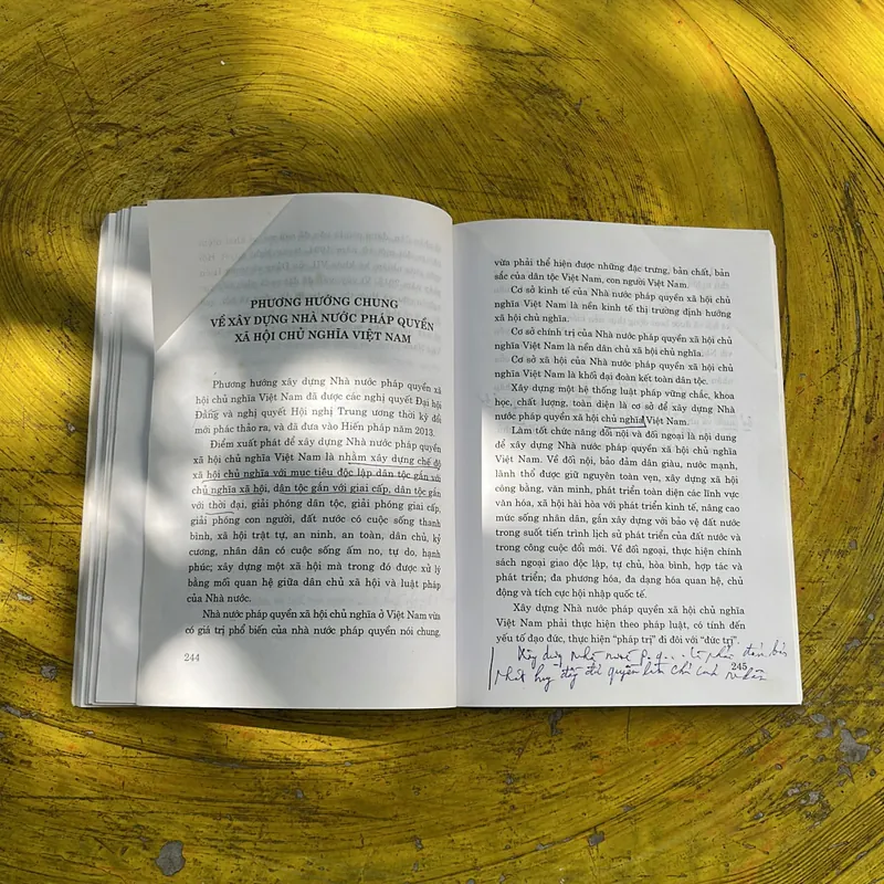 VIỆT NAM TỪ THỜI BAO CẤP ĐẾN THỜI KỲ ĐỔI MỚI- PGS.TS. ĐỨC VƯỢNG 673725