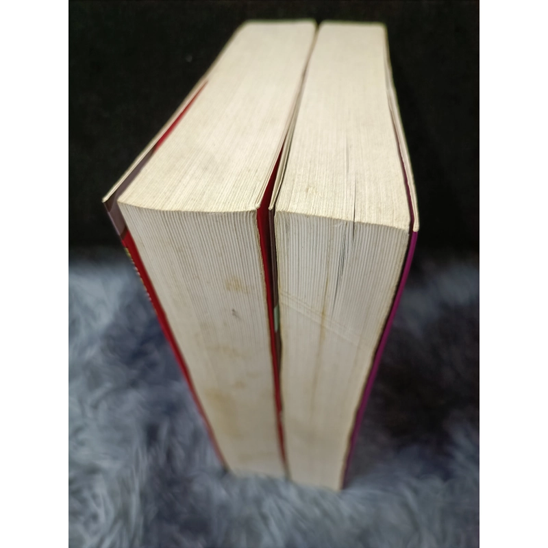 Những cuộc phiêu lưu của người dơi 455045