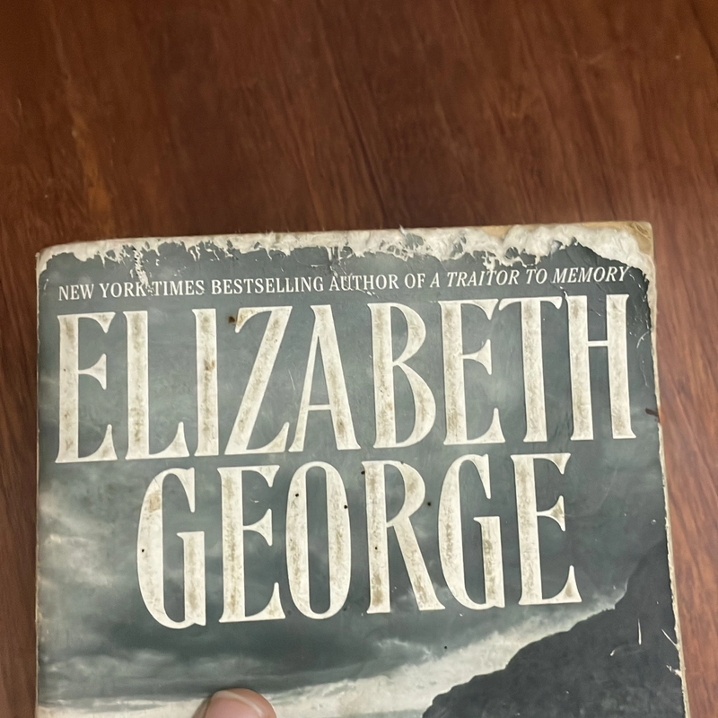 II English Books: ELIZABETH GEORGE _ A PLACE OF HIDING 545006