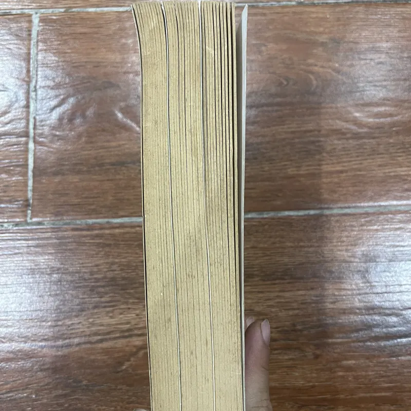 Stalingrad Antony Beevor (8) 690042