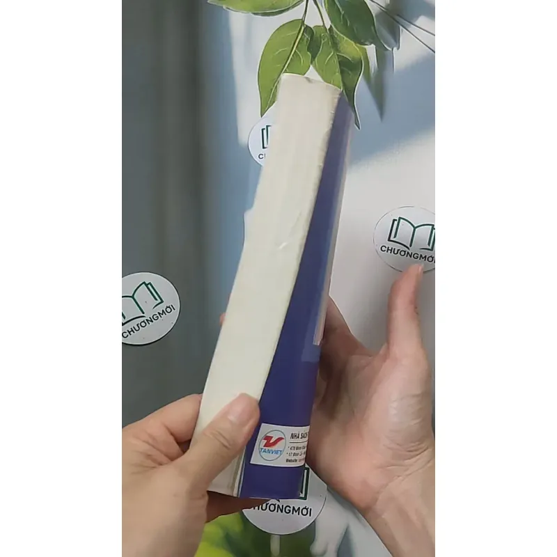 Nghệ thuật ứng xử bố vợ - con rể - Mai Hương 688504