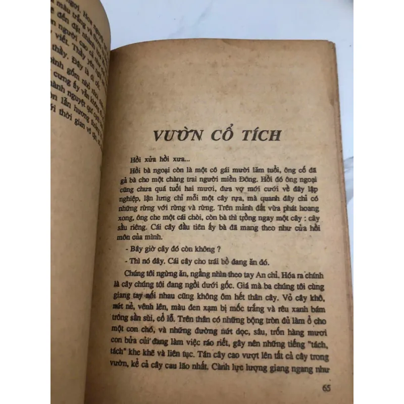 Chiêm Bao Thấy Núi – Lý Lan (Nhà xuất bản Trẻ) 998497