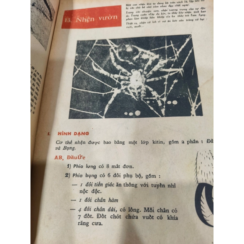 Vạn Vật Học Lớp Bảy - Ban Giáo Sư Alpha 120007