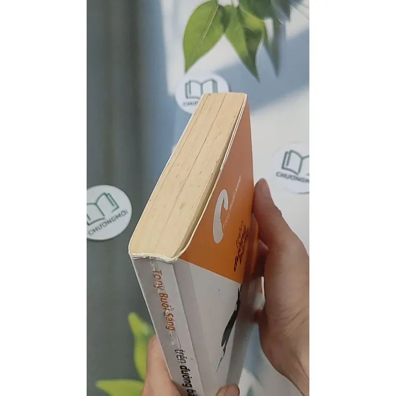 Trên đường băng - Tony Buổi Sáng 688509