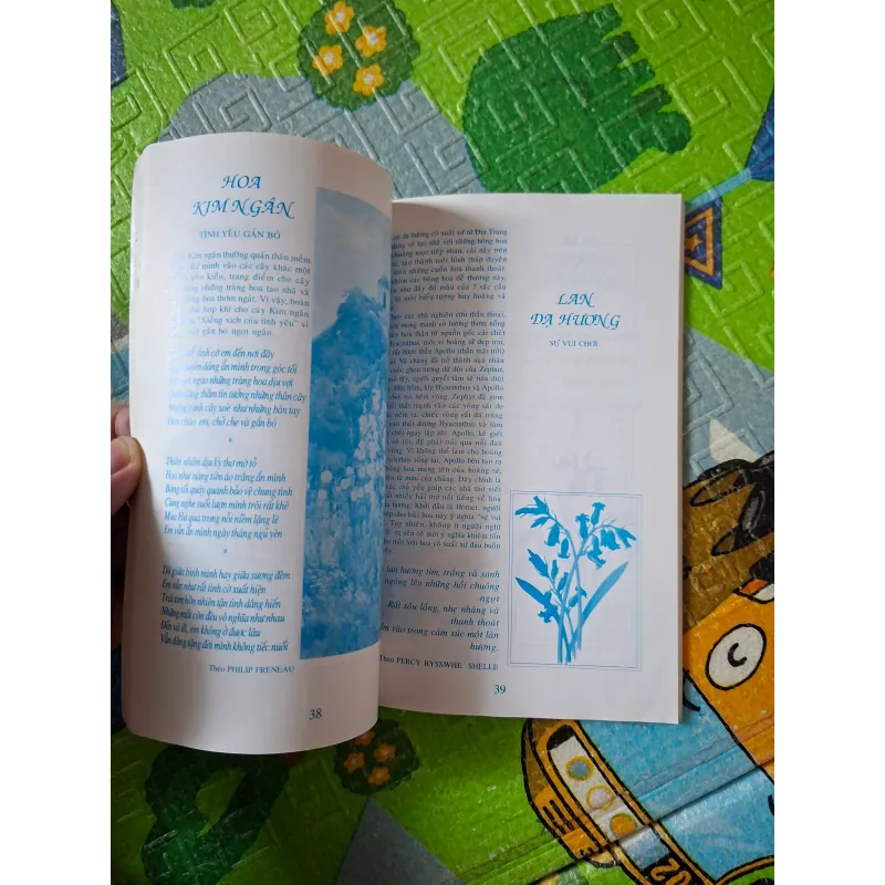 Ngôn Ngữ Các Loài Hoa 1025637