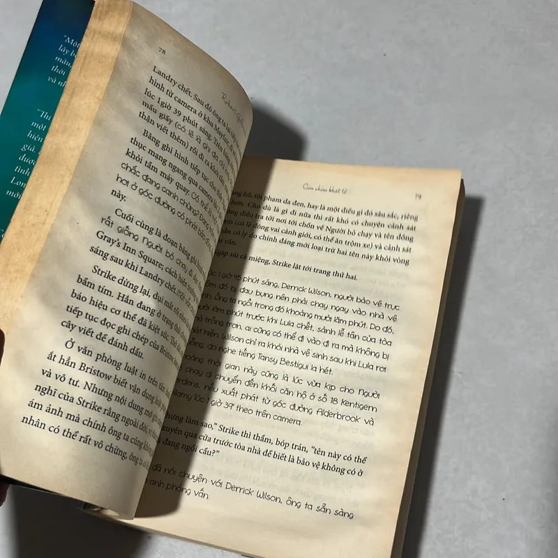 Con chim khát tổ - Robert Galbraith 567871