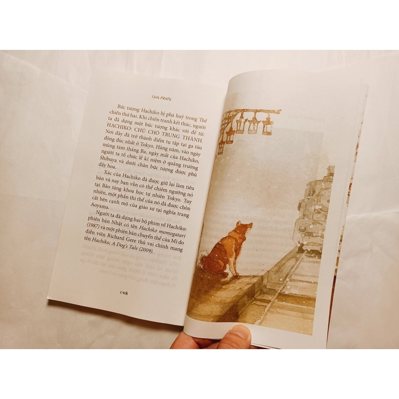 Hachiko _ Chú Chó Đợi Chờ 544883