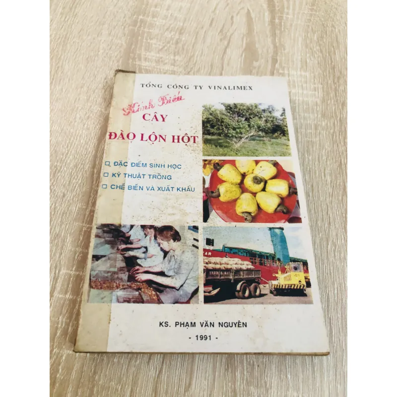 CÂY ĐÀO LỘN HỘT 960189