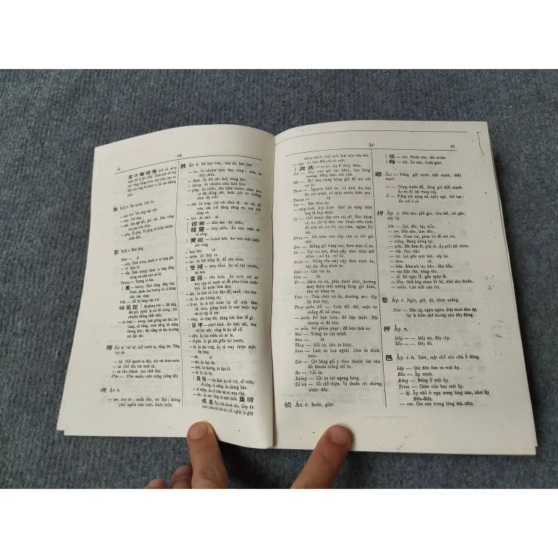 ĐẠI NAM QUỐC ÂM TỰ VỊ 729315