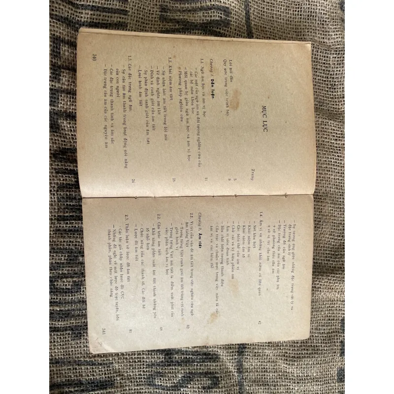 Đoàn Thiện Thuật- Ngữ âm tiếng Việt  1017738