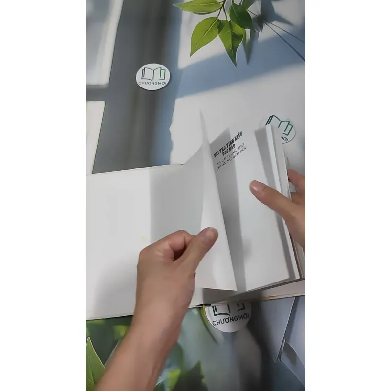 [MIỄN PHÍ BỌC SÁCH] Bài Thơ Vịnh Kiều Độc Đáo Và Cách Làm Thơ Thuận Nghịch Độc - Phạm Đan Quế 990454