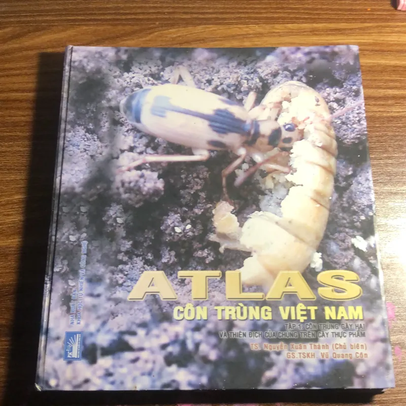 Atlas côn trùng Việt Nam 989800