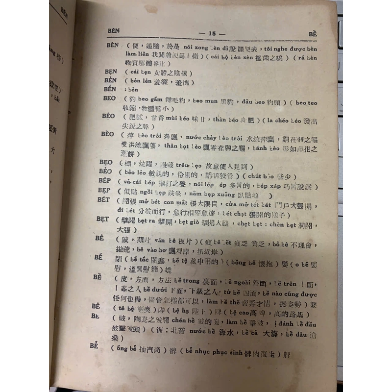 MÔ PHẠM VIỆT HOA TỪ ĐIỂN - LÝ VĂN HÙNG VÀ THÔI TIÊU NHIÊN 291359