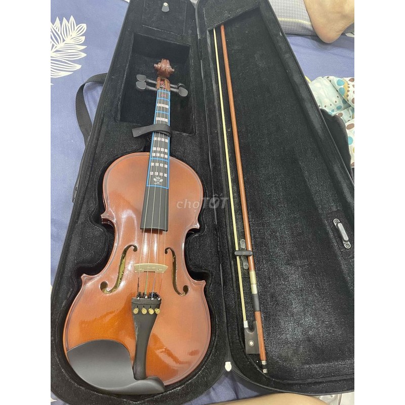 Đàn Violin Suzuki 220OF Size 4/4 165247