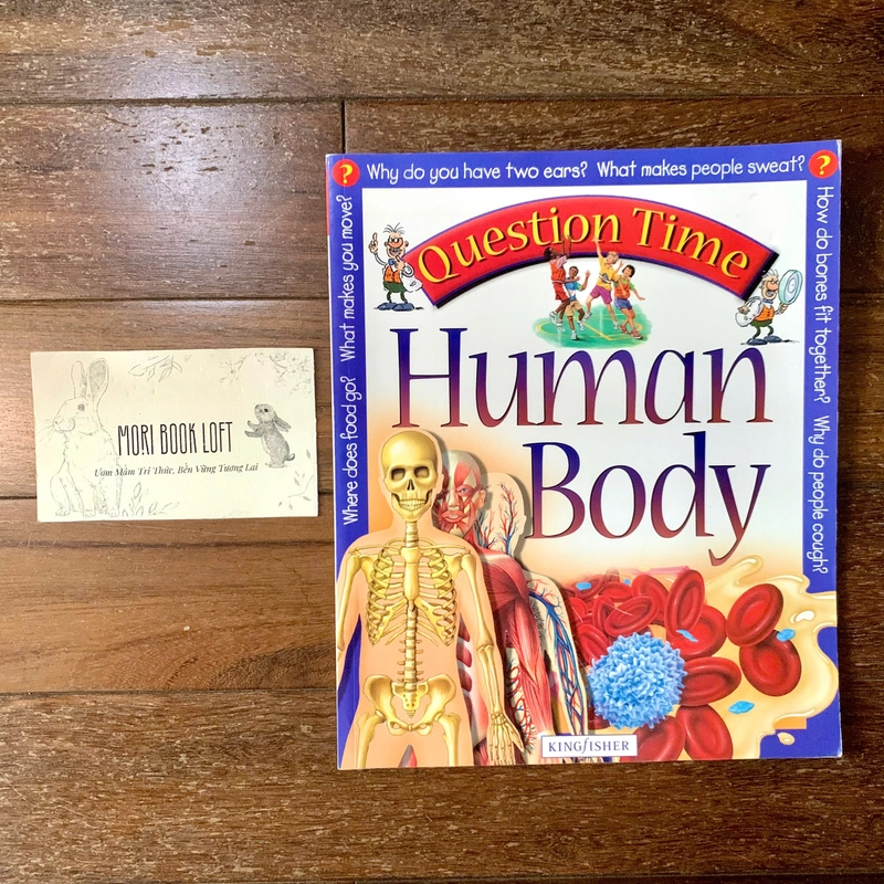 Sách ngoại văn Question Time: Human Body, Used 409493