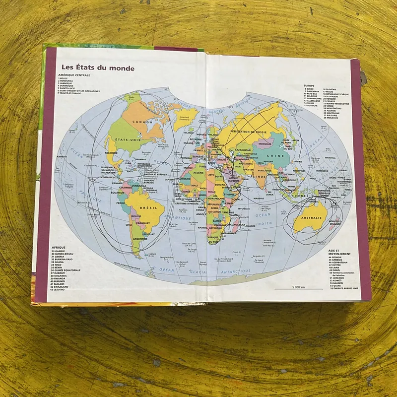 DICTIONNAIRE HACHETTE JUNIOR CE-CM 8-11 ANS 697410