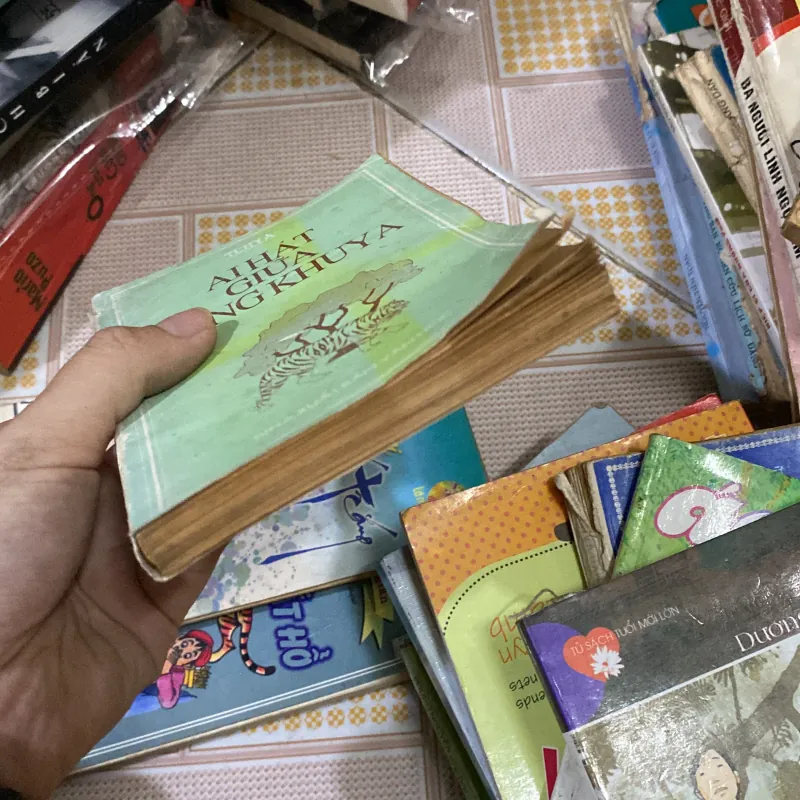 Ai hát giữa rừng khuya của tác giả Tchya 1011511