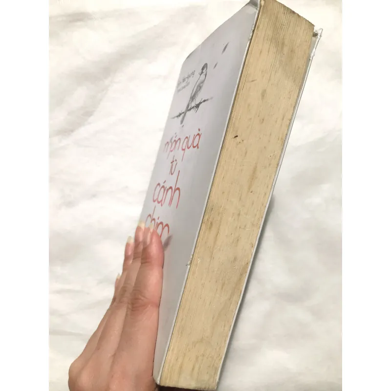 Món Quà Từ Cánh Chim 752158