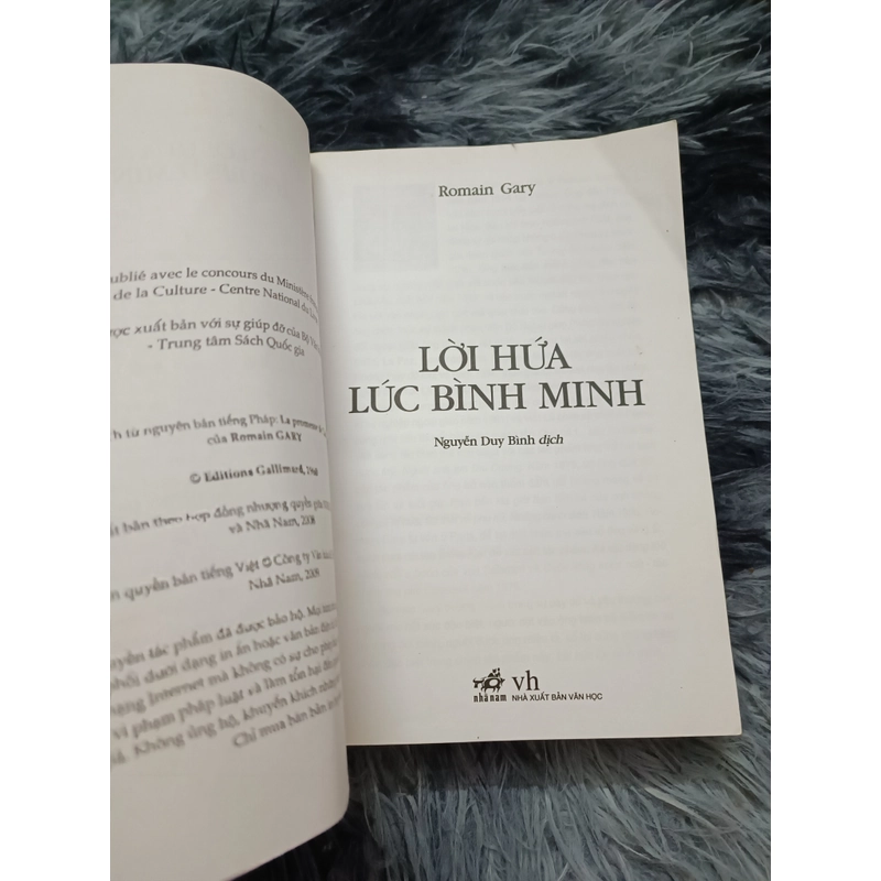 Lời hứa lúc bình minh (Romain Gary) 535002