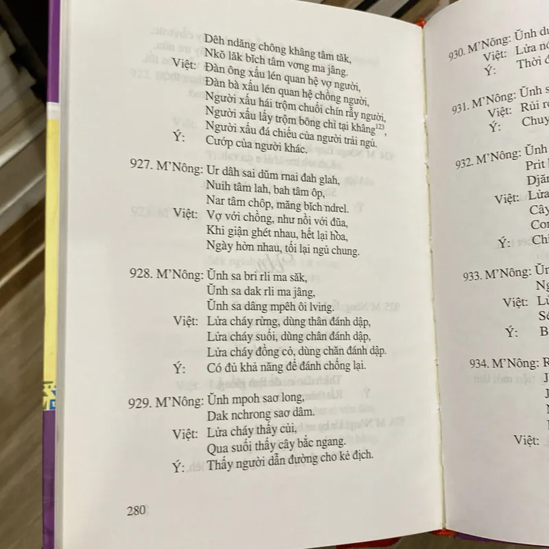 KHO TÀNG TỤC NGỮ & THÀNH NGỮ DÂN GIAN M'NÔNG, Song ngữ M'Nông - Việt, bìa cứng (XB 2010) 697732