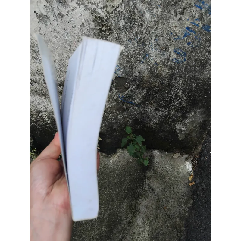 Chợ ở miền Đông Nam Bộ một góc nhìn  1041306