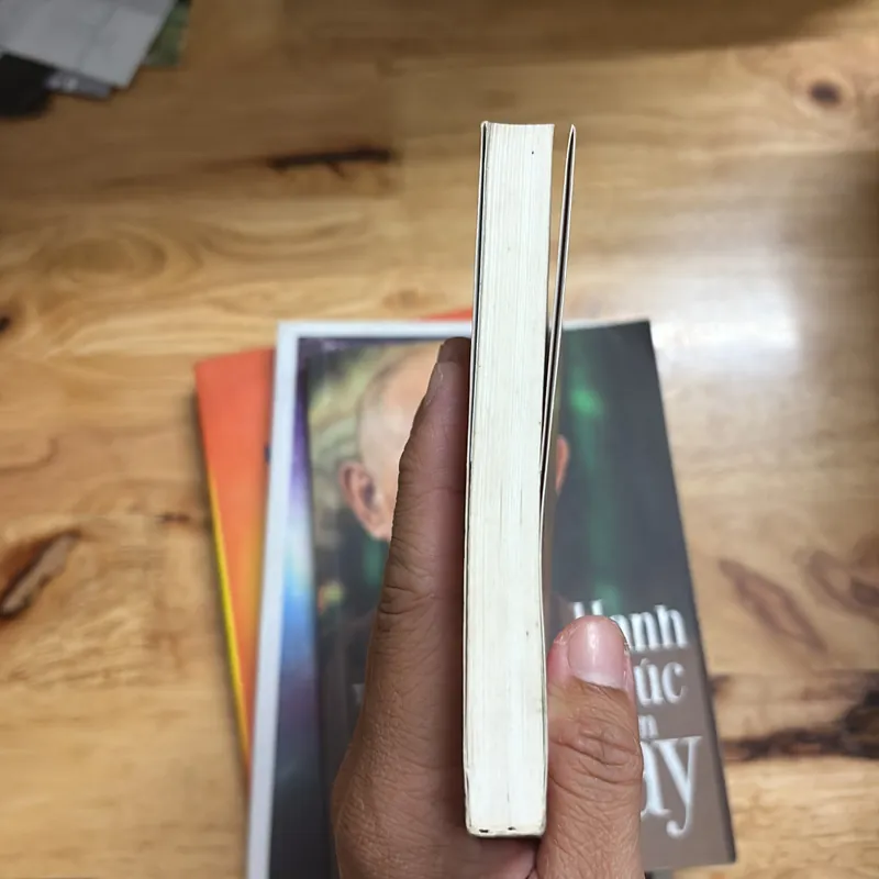 II Phật Giáo: Con Đường Chuyển Hoá _ Kinh Bốn Lĩnh Vực Quán Niệm - Thích Nhất Hạnh - 2020 702679