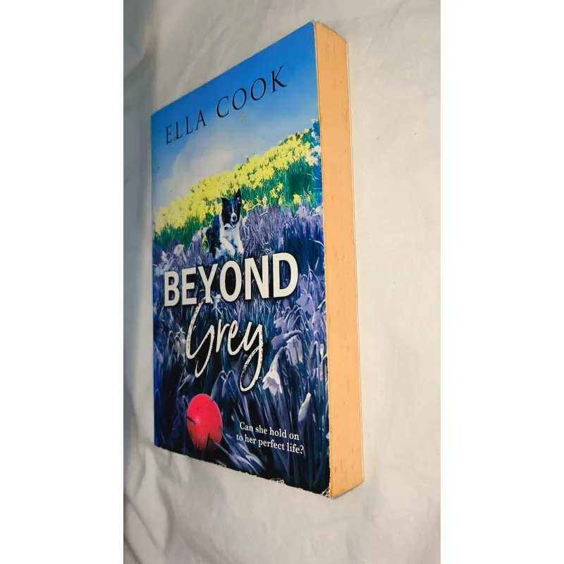 Ngoại văn cũ – Beyond Grey (Ella Cook) | Bìa mềm 748481