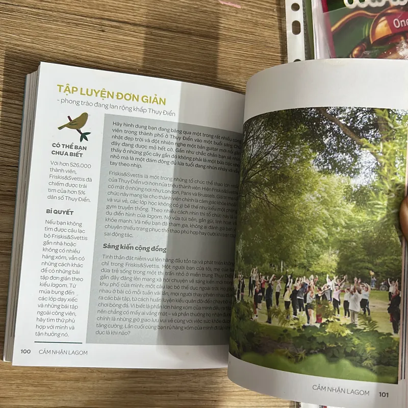 Lagom- Vừa đủ - Đẳng cấp sống của người Thuỵ Điển 568760