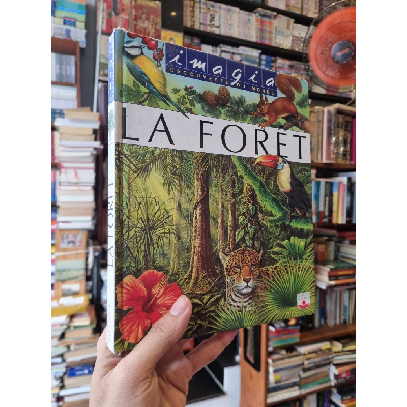 Imagia Decouverte Du Monde : La Forêt 352996