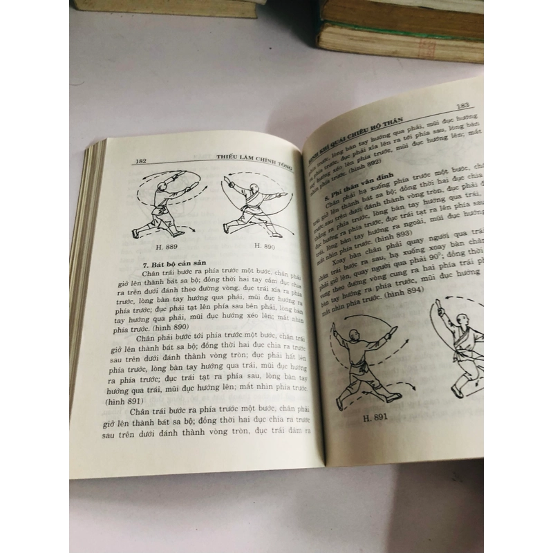 THIẾU LÂM CHÍNH TÔNG BINH KHÍ QUÁI CHIÊU HỘ THÂN 542298