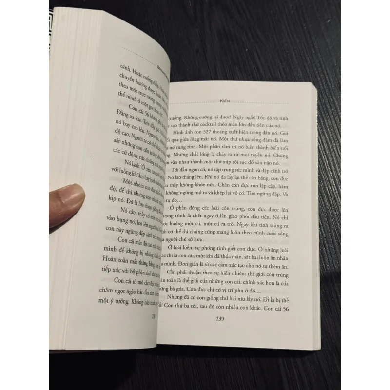 Kiến - Bernard Werber 688251