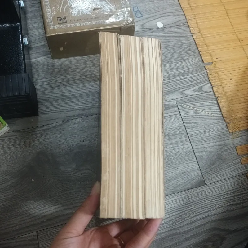 Thiền Luận - Daisetzteitaro Suzuki 1025461