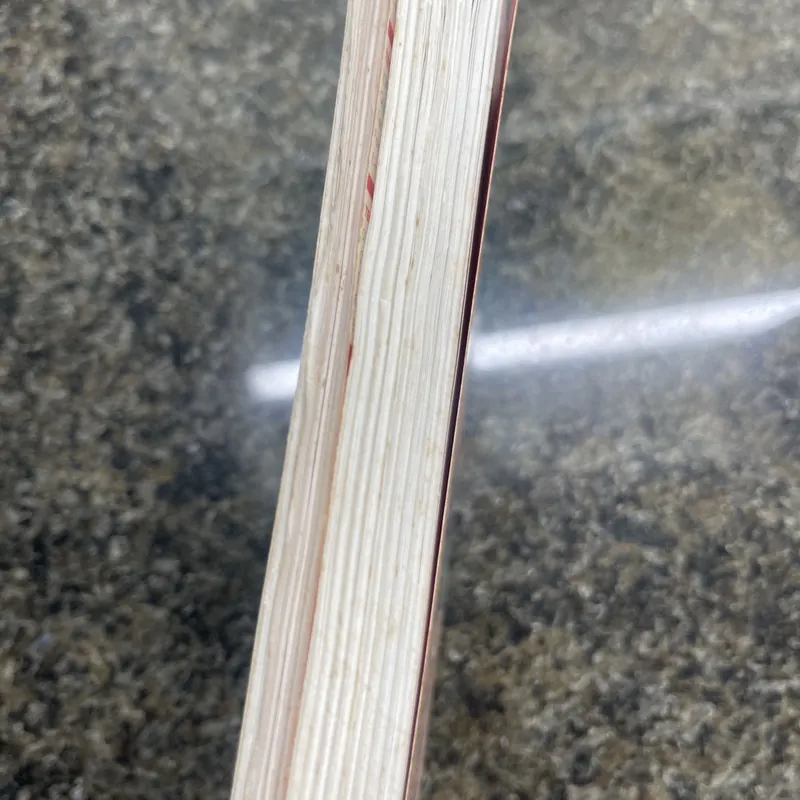 Isan không dấu chân trên trời xanh, Cuộc sống tình yêu và tiếng cười Osho 735780