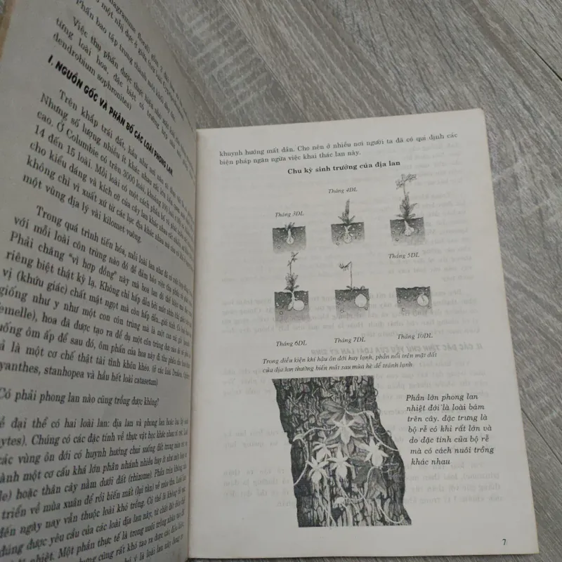 Kỹ Thuật Nuôi Trồng Phong Lan - Trần Văn Bảo 588687