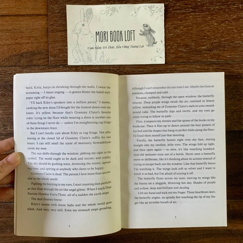 Sách ngoại văn When the Butterflies Came – Reading Level Grade 5, Used 538097