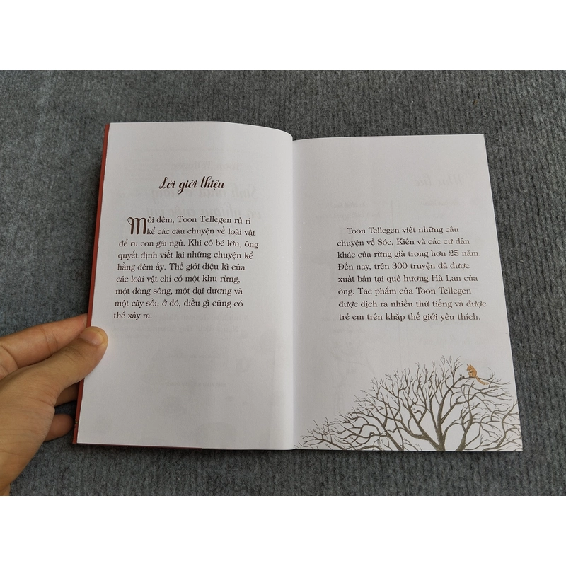 SINH NHẬT Ở RỪNG VÀ NHỮNG CUỘC VUI TƯNG BỪNG - TOON TELLEGEN 552781