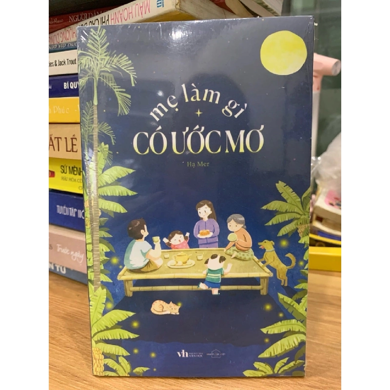 Mẹ làm gì có ước mơ -Hạ Mer 781481