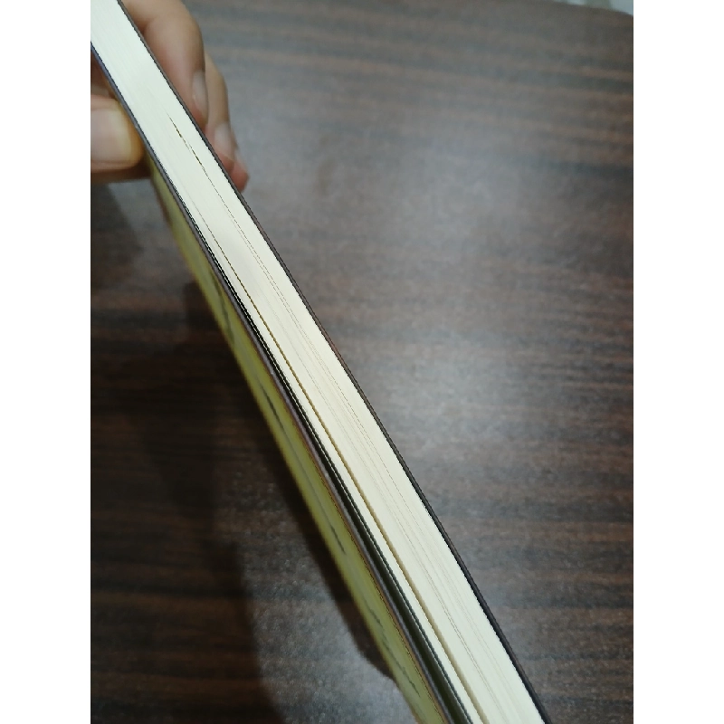 Người Nam Châm 537411